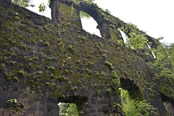 Wall Mural - ruin of vasai fort at maharashtra, india 