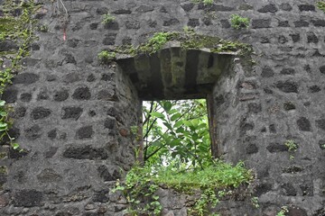 Wall Mural - abandoned vasai fort at maharashtra, india 