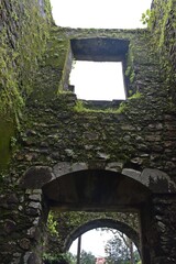 Wall Mural - abandoned vasai fort, maharashtra, india 