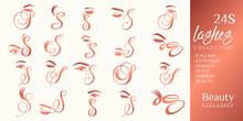 Eyelashes Logo With Letter S Concept