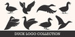 icon set Duck Logo Vector Template
