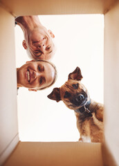 Poster - Its whats inside that counts. Low angle portrait of a happy couple and their dog looking into a box together.