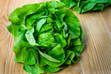 Fototapeta Kuchnia - Green butter lettuce vegetable or salad on a rustic wooden table. Butterhead Lettuce