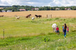 ländliche Idylle - Kinder laufen auf einer Wiese auf eine Pferdekoppel zu auf der mehrere Pferde stehen, darunter ein Schimmel