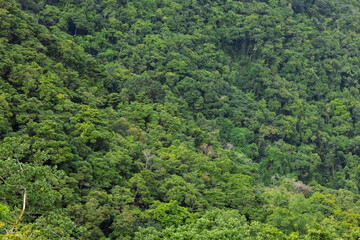 Canvas Print - Top down view of Mountain hiking trail in Hong Kong