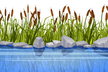 Swamp Grass Illustration, Vector Reed Plant, River Bank, Gray Stone, Pond Cattail Shrub, Lake Bush. Landscape Floral Background, Green Blades, Leaf Vegetation. Swamp Lake Grass, Reflection, Rocks