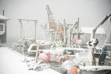 ship in the harbor