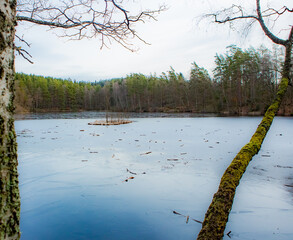 Wall Mural - Frozen Swedish winter lake of Barsjön