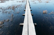 Tuhu nature Tuhu nature walking trail. wooden footbridges in the swamp. Estonia