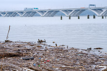 Polluted River And Trash: Potomac River, Alexandria, VA, US