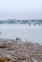 Polluted River And Trash: Potomac River, Alexandria, VA, US