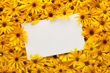 Frame Of Bright And Warm Yellow Summer Flowers With Blank White Postcard For Text.