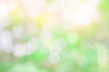 Wall Mural - nature blur green leaf and light abstract background. sunlight bokeh on green leaf tree foliage in a