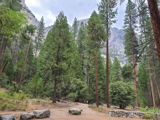 Poster - Hiking trail to base of Yosemite Falls in Yosemite National Park, California