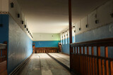 Fototapeta Zwierzęta - old abandoned bowling alley in kolmanskop