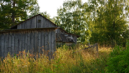 Wall Mural - Beautiful rustic summer landscape. Old wooden log houses. Vologda region