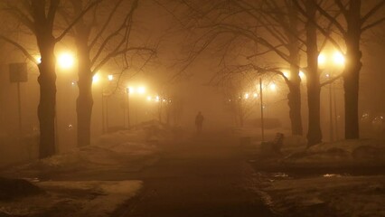 Aufkleber - city park in fog with glowing street lamps at night