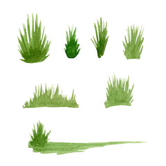 watercolor green grass. hand painted summer field clipart, grass patch illustration isolated on whit