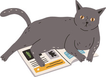 Cute Funny Naughty Cat Lying On Book Doodle Illustration