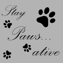 Stay Paws Ative-Grey And Black