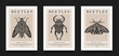 Poster collection. Vector detailed sketches of insects with patterns. Hand drawing beetles. Set of entomological drawings. Beetle outlines for print, banner, poster, tattoo, card design.
