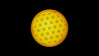 Flower of life symbol on a yellow sun background, NASA Sun manipulated image, sacred geometry on black HD wallpaper. Elements of this image furnished by NASA.