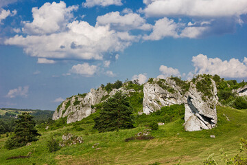 Wall Mural - scenic landscape with meadow, rocks and cloudy sky