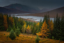 Majestic Landscape Of Scotland. A Dark And Moody Sky Over Loch Loyne In Autumn. Beautiful Scenery In Scottish Highlands.
