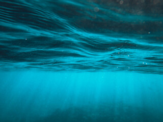 Wall Mural - View of the bottom of the sea or ocean with sunlight penetrating from the above