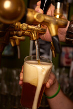 Hand Bartender Pouring Large Lager Beer. Light Cold Filtered Beer In Glass Beaker.