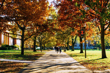 Wall Mural - scenic view of a park near the university of illinois at urbana-champaign