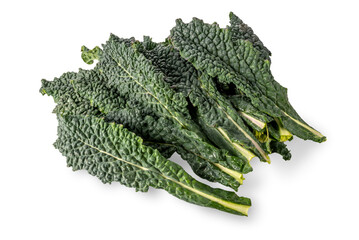 Wall Mural - Leaves of Italian black kale or Tuscan kale or lacinato or dinosaur kale isolated on white; clipping path