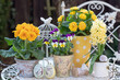 gelbe Hornveilchen, Primeln und Hyazinthe in vintage Töpfen im Garten