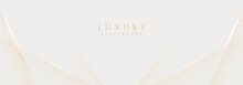 Abstract Luxury Gold Background. Modern Golden Line Wave Design Template. Premium Soft Cream With Elegant Geometric Banner Vector Illustration