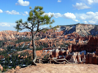 Sticker - Breathtaking view of Bryce Canyon National Park Utah, USA