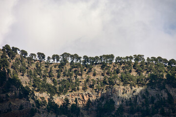 Landscape view with pine forests and mountains in el hierro canary islands with a cloudy sky