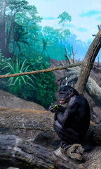 Poster - Vertical shot of a monkey at the Cincinnati zoo