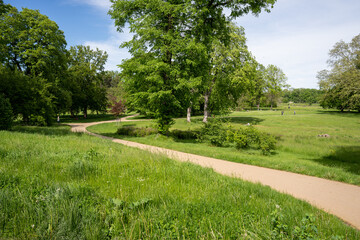 Wall Mural - Beautiful view of a park Klosterbergegarten, Magdeburg, Germany