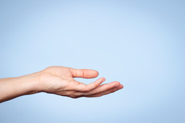 Wall Mural - Woman hand gesture. Female open hand on light blue background. Empty palm up. Front view