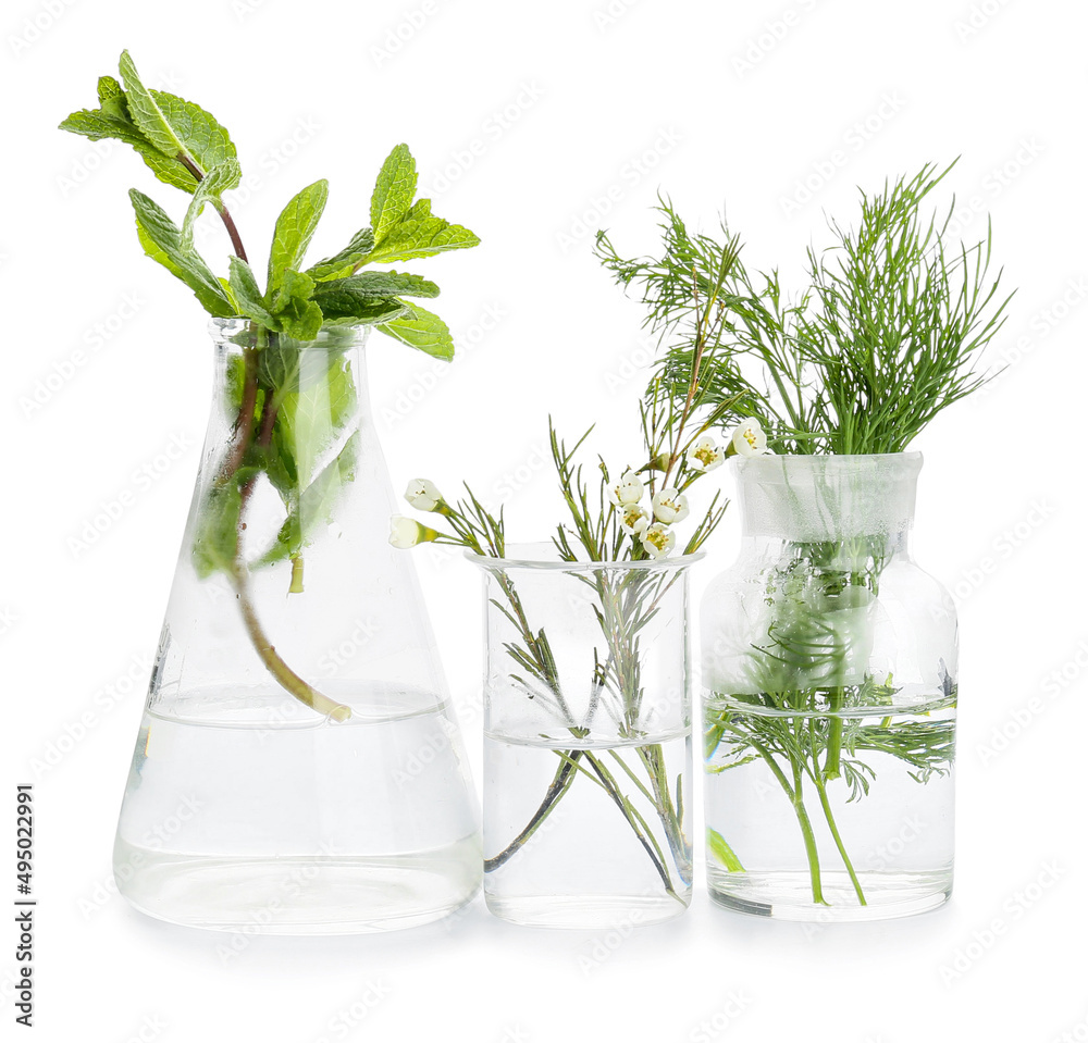Laboratory glassware with natural essential oils on white background