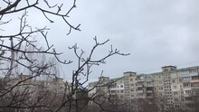 What I Hear Today. It's Not Thunder. Air Raid Siren Sounds. Kyiv. Ukraine