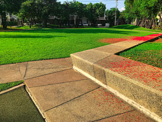 Canvas Print - park in the park