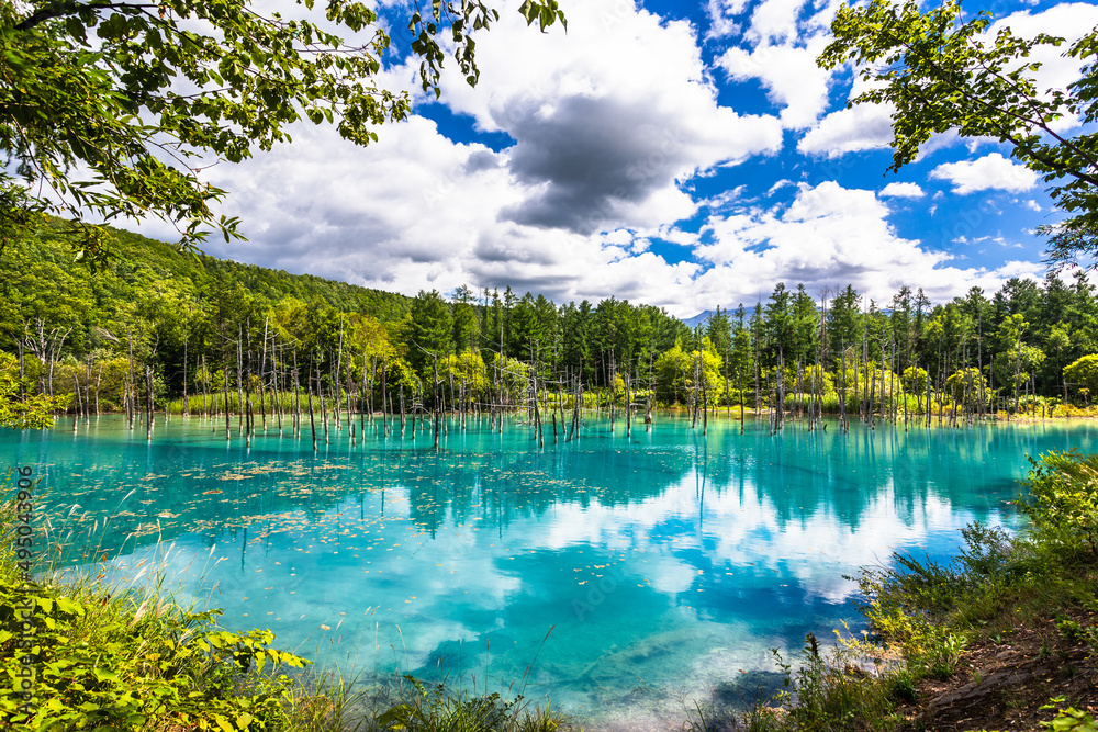 北海道美瑛、9月の青い池・日本Stock Photo | Adobe Stock