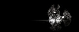 Fototapeta  - 3D rendering illustration.Round cut diamond on black dark glossy background, rear light, shadow, caustics rays.