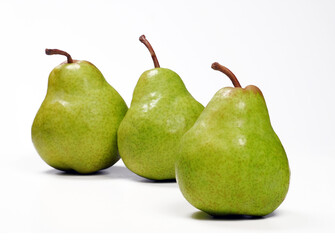 Group of fresh natural pears fruit on white background.