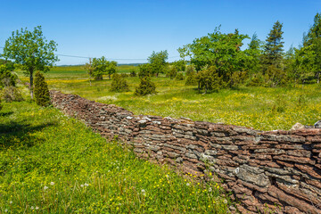 Poster - Flowering summer meadow with a stone wall of limestone