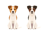 Fototapeta Pokój dzieciecy - Vector hand drawn illustrations of  two sitting Jack Russel Terriers in two different colors isolated on white background