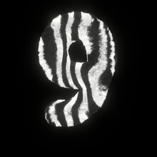 Fluffy Zebra Font Number 9