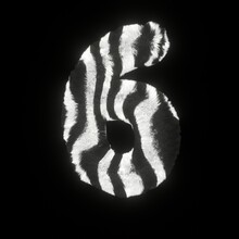 Fluffy Zebra Font Number 6