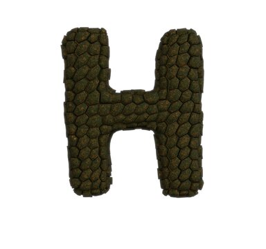 Reptile Skin Font Letter H